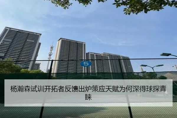 杨瀚森试训开拓者反馈出炉策应天赋为何深得球探青睐