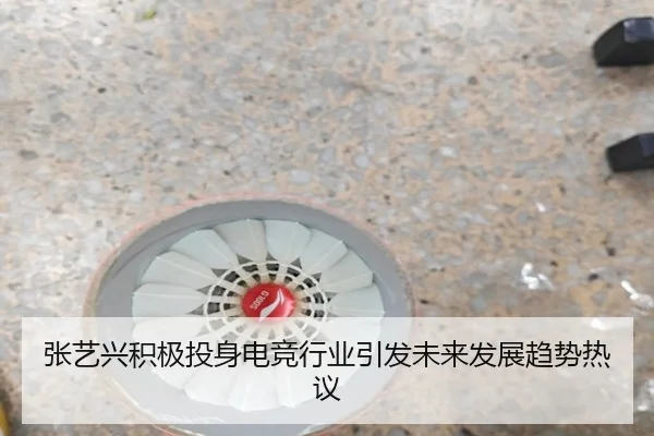 张艺兴积极投身电竞行业引发未来发展趋势热议