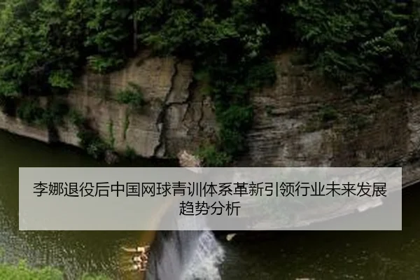 李娜退役后中国网球青训体系革新引领行业未来发展趋势分析
